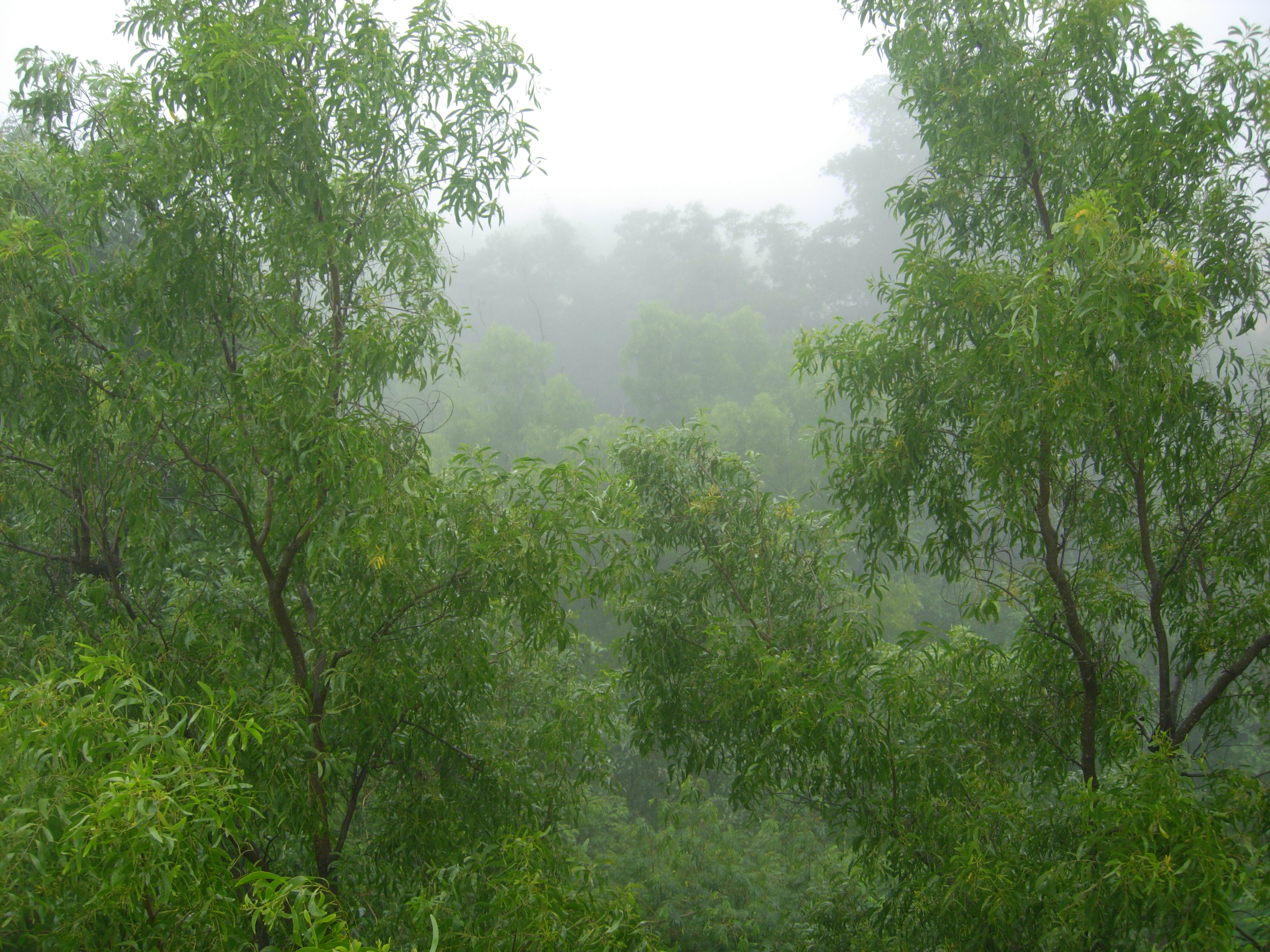 Saputara Maharashtra