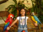 ‘Paa’ child artist Taruni Sachdev cremated
