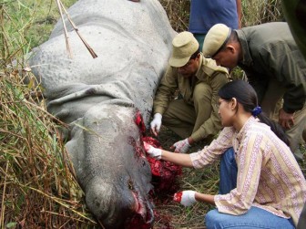 Assam asks for CBI probe into rhino poaching