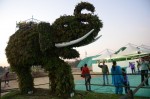Ahmedabad Flower show Begins